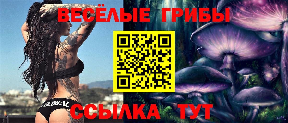 Галлюциногенные грибы мицелий Артём
