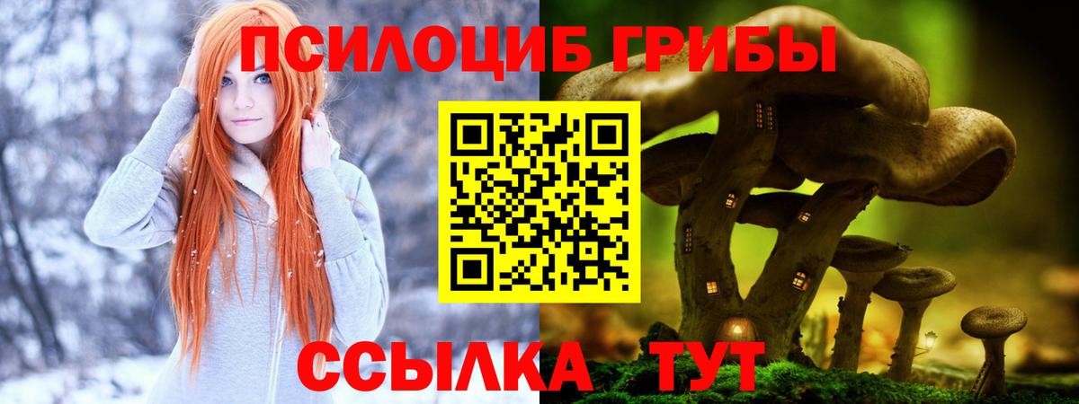 Галлюциногенные грибы мицелий  Вход с VPN  Псилоцибиновые грибы прущие грибы  Артём 